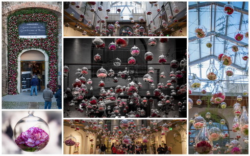 Sanremo: sfiorati i 20mila spettatori a Santa Tecla per la mostra 'I Grandi Inventori dei Fiori' (Foto)