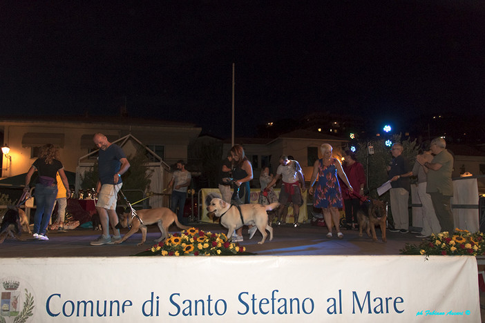 Santo Stefano al Mare: ieri sera la settima edizione del “Memorial Argo” con i volontari dell'Enpa e della Protezione Civile Comune di Taggia (Foto) Santo Stefano al Mare: ieri sera la settima edizione del “Memorial Argo” con i volontari dell'Enpa e della Protezione Civile Comune di Taggia (Foto)