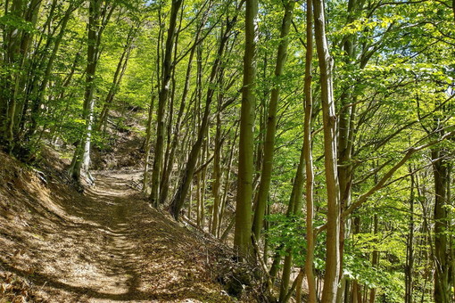Tutelare il Paesaggio per Costruire Futuro: una riflessione dal Congresso Nazionale di Italia Nostra