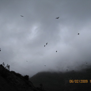 Maltempo in Liguria, prorogata allerta arancione su Genova, Spezia e entroterra. Per il Ponente si conferma gialla