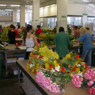 Festival: polemica sui fiori, le associazioni dei floricoltori insieme al ministro Galan