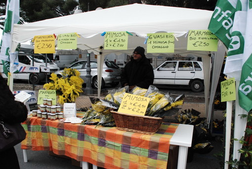 Imperia: sabato prossimo in via Berio torna il 'mercatino' delle prelibatezze Imperia: sabato prossimo in via Berio torna il 'mercatino' delle prelibatezze