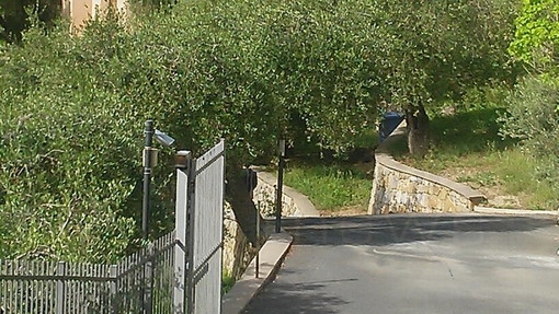 Vertice in Procura ad Imperia stamattina tra il Procuratore Geremia ed il sostituto della DNA Curcio Vertice in Procura ad Imperia stamattina tra il Procuratore Geremia ed il sostituto della DNA Curcio