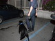 Imperia: Carabinieri e cani antidroga sul territorio per un servizio coordinato contro lo spaccio Imperia: Carabinieri e cani antidroga sul territorio per un servizio coordinato contro lo spaccio