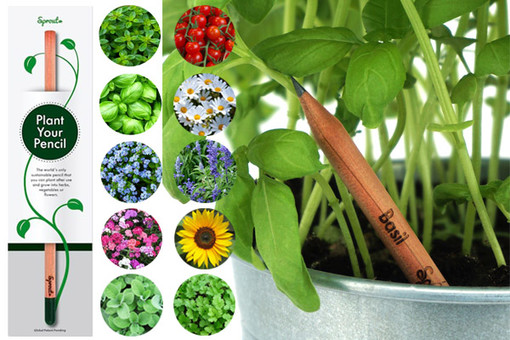 Pianta la Tua Matita: iGreen, il progetto che aiuta l'ambiente!