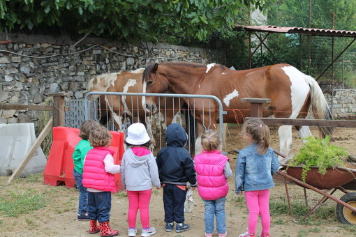 Imperia: i bimbi del nido d'infanzia 'Mio piccolo mio' ospiti del progetto equestre 'Stella e i suoi amici'
