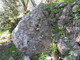 Menhir inclinato con due coppelle sorretto da un muro a secco