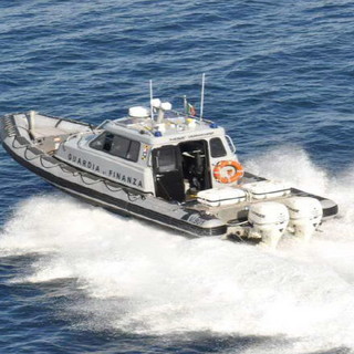 San Lorenzo al Mare: trovato morto un delfino di circa 50 kg al largo del porto di Marina di San Lorenzo San Lorenzo al Mare: trovato morto un delfino di circa 50 kg al largo del porto di Marina di San Lorenzo