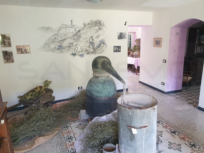 Valle Argentina: tutto pronto a Carpasio per accogliere i turisti al 'Museo della Lavanda' (Foto) Valle Argentina: tutto pronto a Carpasio per accogliere i turisti al 'Museo della Lavanda' (Foto)