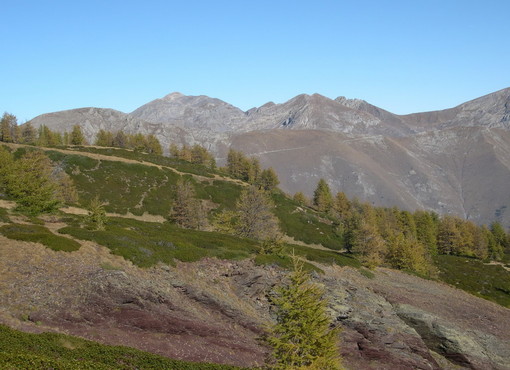 Ritardi nei finanziamenti Psr: gli allevatori dell’imperiese sono sconcertati