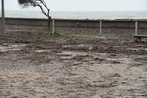 I detriti in zona Pian di Nave I detriti in zona Pian di Nave