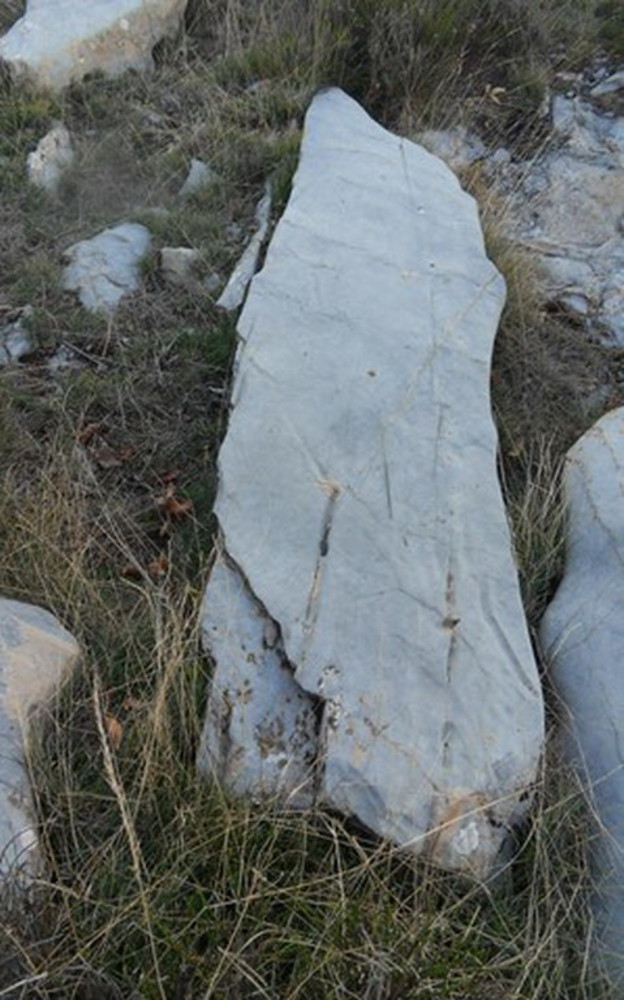 Il gruppo ArcheoNervia trova vicino alla diga di Tenarda una cava di estrazione di blocchi di roccia dove venivano realizzati menhir Il gruppo ArcheoNervia trova vicino alla diga di Tenarda una cava di estrazione di blocchi di roccia dove venivano realizzati menhir