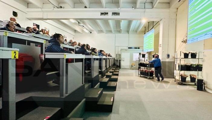 Ognissanti e ricorrenza dei morti: al Mercato dei Fiori di Sanremo prezzi e volume d'affari in linea con lo scorso anno Ognissanti e ricorrenza dei morti: al Mercato dei Fiori di Sanremo prezzi e volume d'affari in linea con lo scorso anno