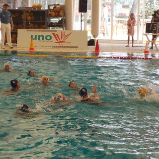 Pallanuoto: domani sul digitale terrestre la partita Mediterranea Imperia - Bologna