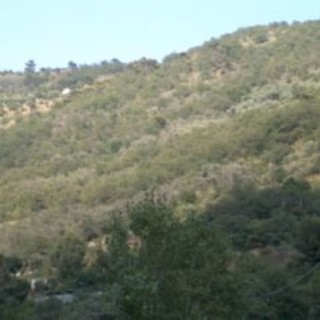 Per il ciclo 'Attraverso le Alpi Liguri', domenica prossima si svolge l'escursione 'L’anello de la Forna'