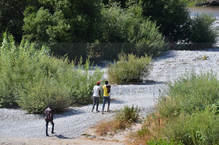 Dalla parte della confusione