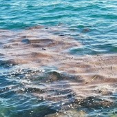 Mare sempre più caldo e balneabilità, la riflessione di un lettore: "Non cerchiamo solo colpevoli nelle fogne"