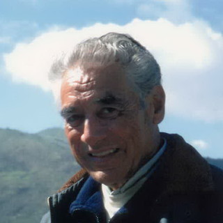 Mario Italo Lepre