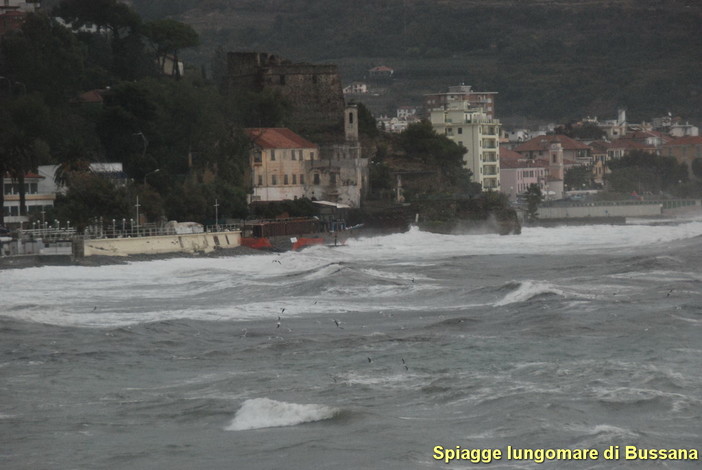 In Regione sono arrivati i 'balneari' della nostra provincia per protestare contro le nuove concessioni demaniali In Regione sono arrivati i 'balneari' della nostra provincia per protestare contro le nuove concessioni demaniali