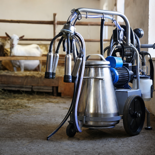 Mungitrice a carrello: come sceglierla per specie e capi