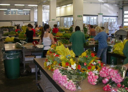 Festival: polemica sui fiori, le associazioni dei floricoltori insieme al ministro Galan