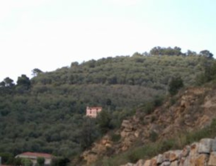 Natura, prodotti ed arte: escursioni alla scoperta dell’entroterra della riviera dei fiori Natura, prodotti ed arte: escursioni alla scoperta dell’entroterra della riviera dei fiori
