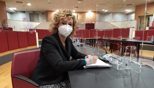 Rimozione carcasse auto nel Roja, interrogazione di Riolfo (Lega): "I Comuni non possono essere lasciati soli" Rimozione carcasse auto nel Roja, interrogazione di Riolfo (Lega): "I Comuni non possono essere lasciati soli"