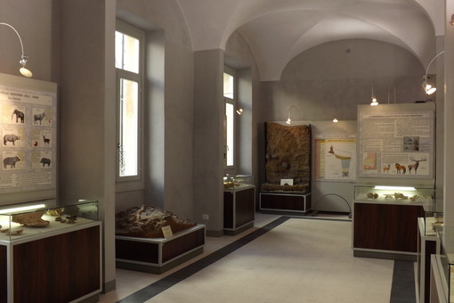 Sanremo: terminato il percorso espositivo del Museo Civico, mercoledì l’inaugurazione delle nuove sale a Palazzo Nota