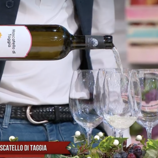 Estate 2023: si pedala in e-bike in mezzo ai vigneti del Moscatello di Taggia Estate 2023: si pedala in e-bike in mezzo ai vigneti del Moscatello di Taggia