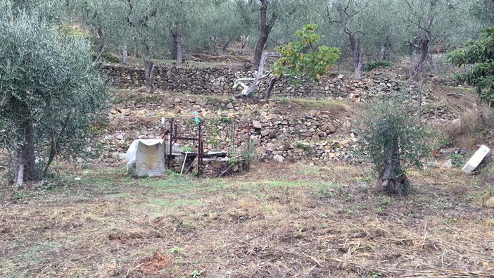 I muretti a secco della Liguria sfidano la grande muraglia cinese: simbolo di arte rurale dichiarati Patrimonio immateriale dall’Unesco