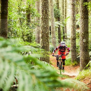 Comune di Sanremo, 'Fun Seven' e 'Sanremo outdoor': una unione di intenti per il turismo in bici Comune di Sanremo, 'Fun Seven' e 'Sanremo outdoor': una unione di intenti per il turismo in bici