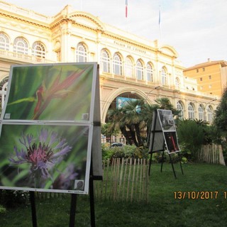 Mentone: inaugurata ieri pomeriggio al Palais de l'Europe la mostra dell'associazione 'Photo Menton' Mentone: inaugurata ieri pomeriggio al Palais de l'Europe la mostra dell'associazione 'Photo Menton'