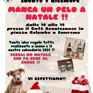 Sanremo: 'Manca un pelo a Natale', sabato i volontari dell'Enpa in piazza Colombo