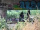 Ventimiglia: operazione di sgombero di Polizia e Municipale dei migranti sotto il cavalcavia di Roverino