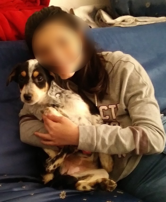 Sanremo: smarrito cane meticcio nella zona del Solaro, l'appello dei proprietari (Foto)