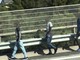 Ventimiglia: 40 minuti di chiusura questa mattina sulla A10 al confine per migranti a piedi sulla strada
