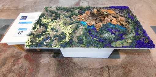 Tra gli eventi collaterali alle Vele d'Epoca spicca il 9° concorso internazionale di decorazione floreale ‘Città di Imperia-Vele d'Epoca’ Tra gli eventi collaterali alle Vele d'Epoca spicca il 9° concorso internazionale di decorazione floreale ‘Città di Imperia-Vele d'Epoca’