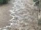 Maltempo: allerta gialla fino a domani sera, piogge oltre i 100 mm e bomba d'acqua nell'entroterra (Foto) Maltempo: allerta gialla fino a domani sera, piogge oltre i 100 mm e bomba d'acqua nell'entroterra (Foto)