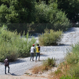 Dalla parte della confusione Dalla parte della confusione