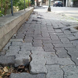 Sanremo: via padre Semeria, a febbraio nuovi abbattimenti di pini pericolosi e sistemazione del marciapiedi Sanremo: via padre Semeria, a febbraio nuovi abbattimenti di pini pericolosi e sistemazione del marciapiedi