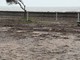 I detriti in zona Pian di Nave I detriti in zona Pian di Nave