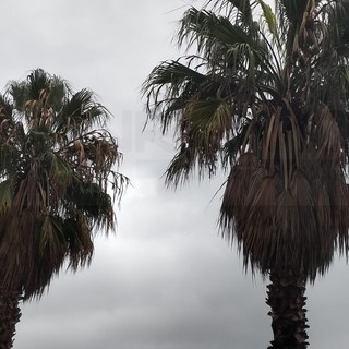 Maltempo: confermata l'allerta gialla per temporali nel levante, colpito marginalmente il ponente