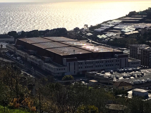 Il Mercato dei Fiori di Valle Armea