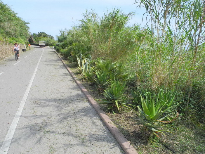 Interessante proposta per la pista ciclabile: Patrizia "Perchè non creare posteggi per le biciclette?"
