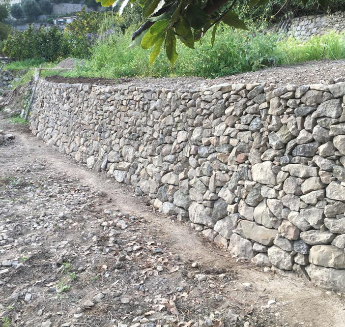 Ventimiglia: l'associazione 'Terre di Grimaldi' organizza per marzo un corso di muri a secco