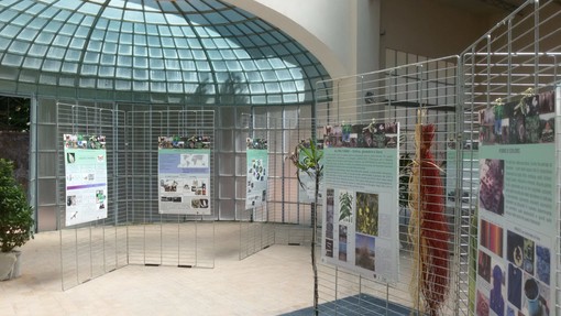 Sanremo: tutti i segreti delle fibre naturali a Villa Ormond, da domani l’esposizione alla Palazzina Prediali