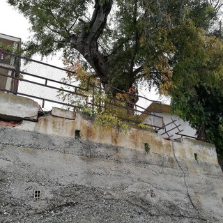 Ventimiglia: a rischio cedimento i muri dell'ex scuola di San Lorenzo, l'appello del Comitato 'Magliocca Gallardi' (Foto) Ventimiglia: a rischio cedimento i muri dell'ex scuola di San Lorenzo, l'appello del Comitato 'Magliocca Gallardi' (Foto)