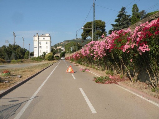 Prosegue la manutenzione della pista ciclabile: sistemate le fontane e le aiuole del parco costiero