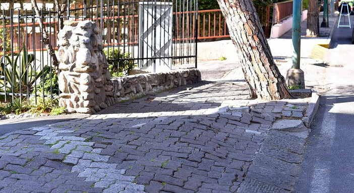 Sanremo: marciapiedi ed asfalti in via Padre Semeria nuovamente distrutti dalle radici dei pini marittimi Sanremo: marciapiedi ed asfalti in via Padre Semeria nuovamente distrutti dalle radici dei pini marittimi