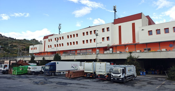 Sanremo, crisantemi in arrivo per la ricorrenza dei defunti: produzione ridotta, ma il prodotto è di qualità Sanremo, crisantemi in arrivo per la ricorrenza dei defunti: produzione ridotta, ma il prodotto è di qualità